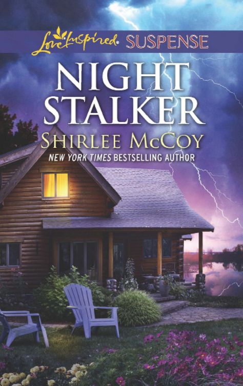 Produktbild: Night Stalker