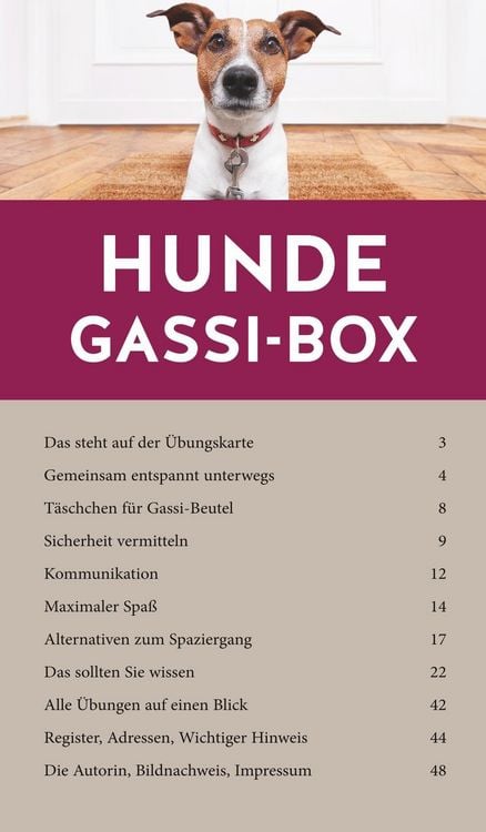 Produktbild: Hunde-Gassi-Box