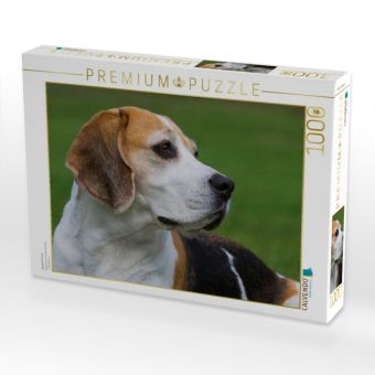 Produktbild: CALVENDO Puzzle Beagle Portr&auml;t | 1000 Teile Lege-Gr&ouml;&szlig;e 64x48cm Foto-Puzzle f&uuml;r gl&uuml;ckliche Stunden