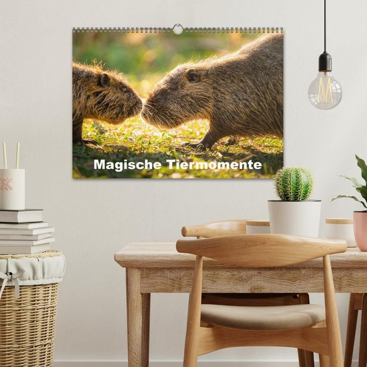 Produktbild: Magische Tiermomente (Wandkalender 2027 DIN A3 quer), CALVENDO Monatskalender