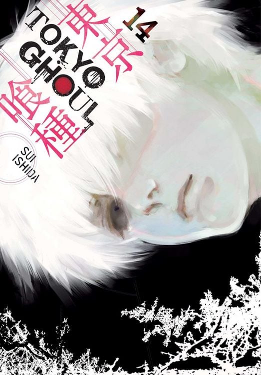 Produktbild: Tokyo Ghoul, Vol. 14