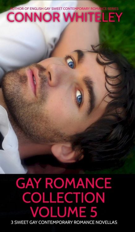 Produktbild: Gay Romance Collection Volume 5