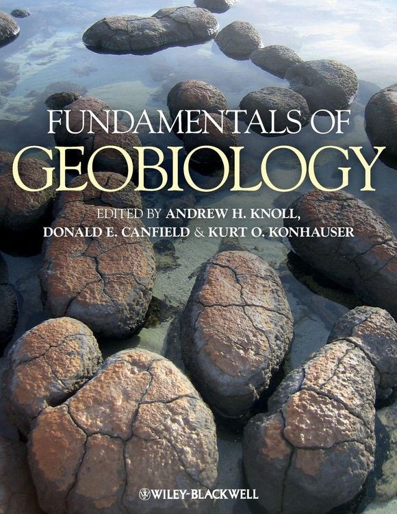 Produktbild: Fundamentals of Geobiology