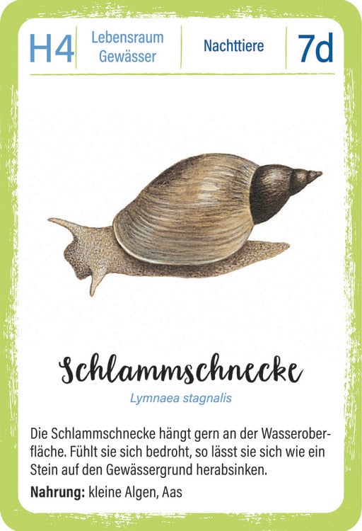 Produktbild: Expedition Natur Quartett Waldtiere