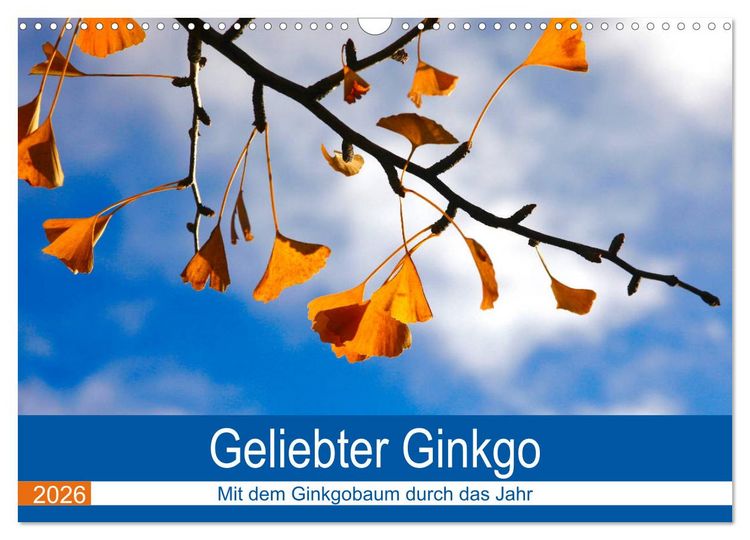 Produktbild: Geliebter Ginkgo (Wandkalender 2026 DIN A3 quer), CALVENDO Monatskalender