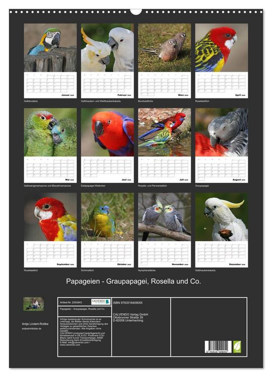 Produktbild: Papageien - Graupapagei, Rosella und Co. (Wandkalender 2026 DIN A2 hoch), CALVENDO Monatskalender