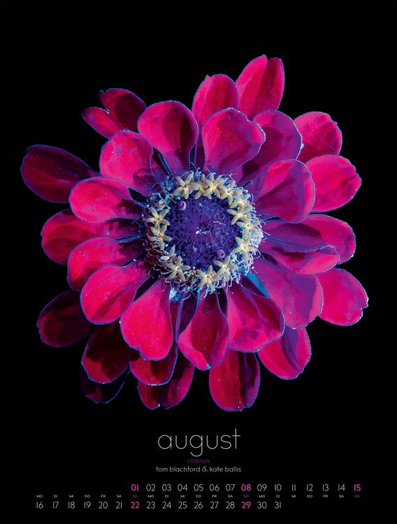 Produktbild: in bloom Kalender 2027
