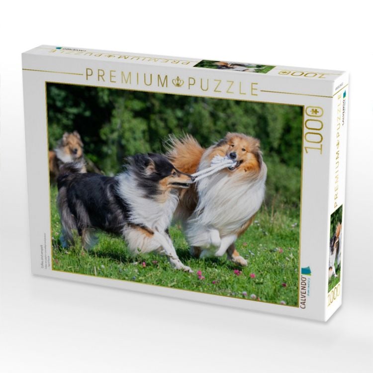 Produktbild: CALVENDO Puzzle Collies sind verspielt | 1000 Teile Lege-Gr&ouml;&szlig;e 64x48cm Foto-Puzzle f&uuml;r gl&uuml;ckliche Stunden