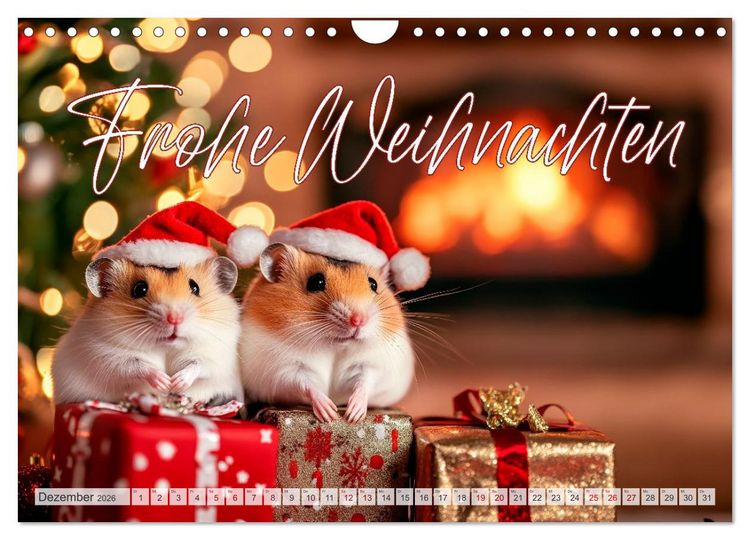 Produktbild: Hamsterhumor - Kleine Zuckerschnute, aber oho (Wandkalender 2026 DIN A4 quer), CALVENDO Monatskalender