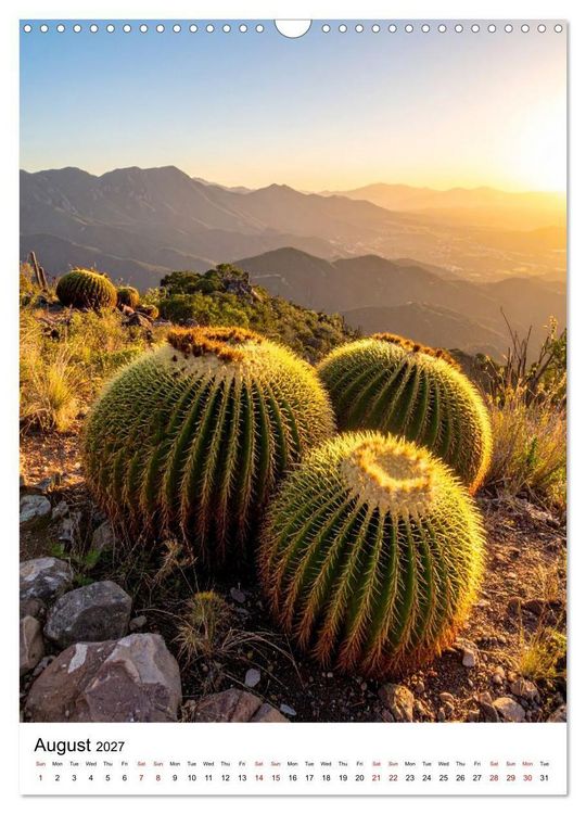 Produktbild: Beautiful Spiky Balls (Wall Calendar 2027 DIN A3 portrait), CALVENDO 12 Month Wall Calendar