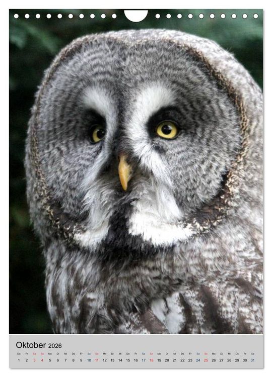 Produktbild: Raubv&ouml;gel - Die J&auml;ger der L&uuml;fte (Wandkalender 2026 DIN A4 hoch), CALVENDO Monatskalender