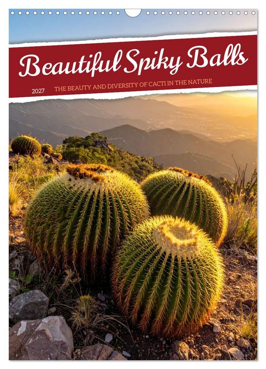 Produktbild: Beautiful Spiky Balls (Wall Calendar 2027 DIN A3 portrait), CALVENDO 12 Month Wall Calendar