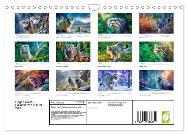 Produktbild: Gegen alles! - Pallaskatzen in ihrer Welt (Wandkalender 2027 DIN A4 quer), CALVENDO Monatskalender