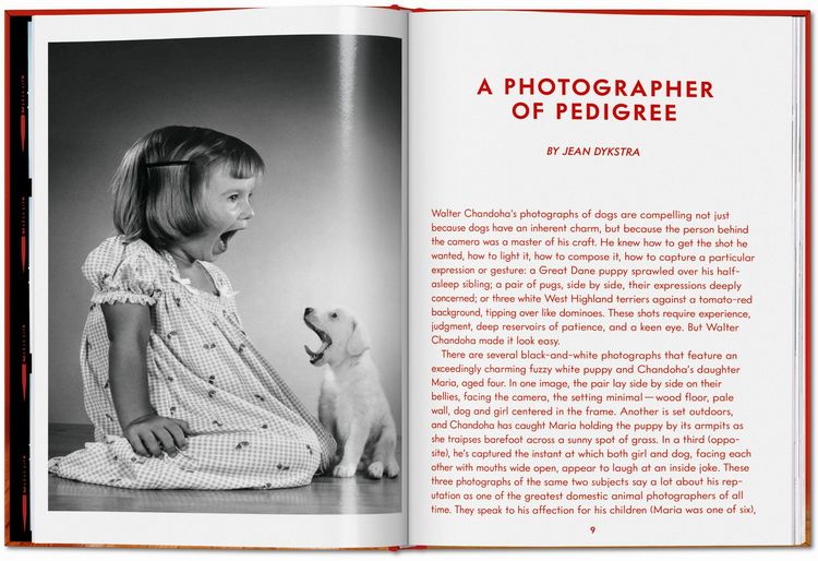 Produktbild: Walter Chandoha. Dogs. Photographs 1941&ndash;1991