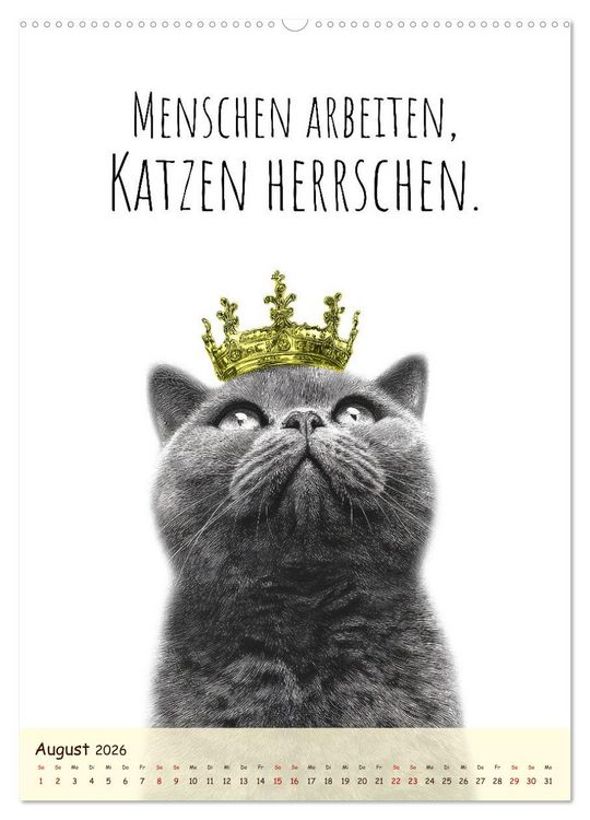 Produktbild: Katzenkult - Coolness auf vier Pfoten (Wandkalender 2026 DIN A2 hoch), CALVENDO Monatskalender