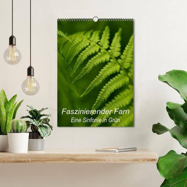 Produktbild: Faszinierender Farn - Eine Sinfonie in Gr&uuml;n (Wandkalender 2026 DIN A3 hoch), CALVENDO Monatskalender