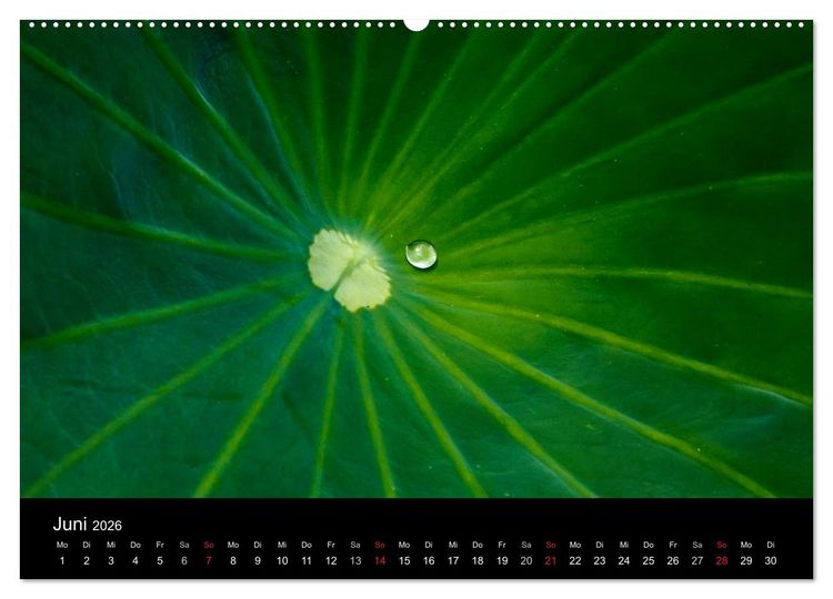 Produktbild: Wassertropfen (Wandkalender 2026 DIN A2 quer), CALVENDO Monatskalender