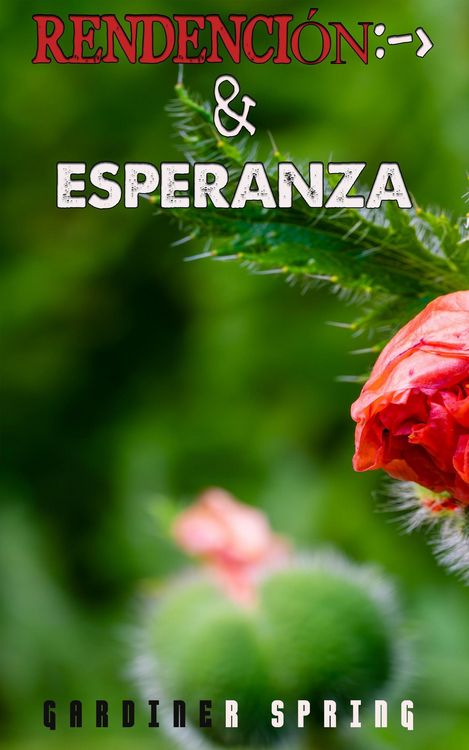 Produktbild: Redenci&oacute;n y Esperanza
