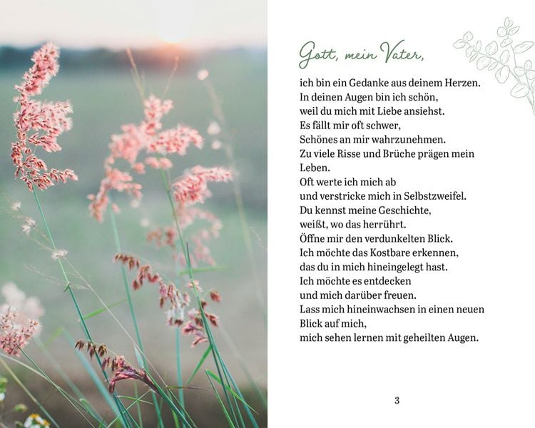 Produktbild: Sch&ouml;nheit l&auml;dt uns ein