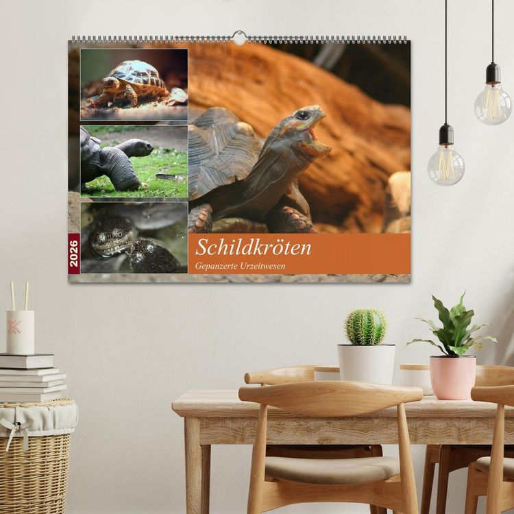 Produktbild: Schildkr&ouml;ten - Gepanzerte Urzeitwesen (Wandkalender 2026 DIN A2 quer), CALVENDO Monatskalender