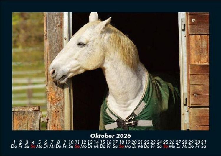 Produktbild: Pferde Kalender 2026 Fotokalender DIN A5