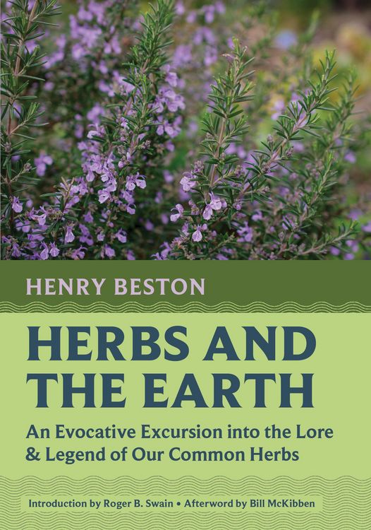 Produktbild: Herbs and the Earth