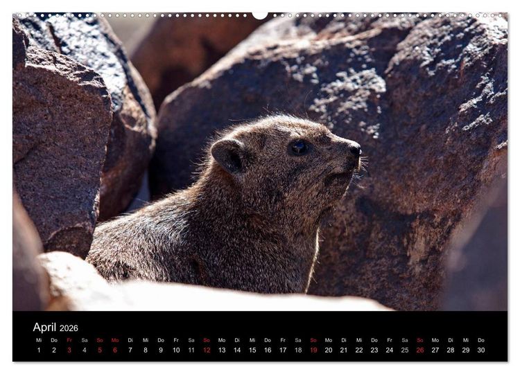 Produktbild: Namibia - Sch&ouml;ne Ansichten (Wandkalender 2026 DIN A2 quer), CALVENDO Monatskalender