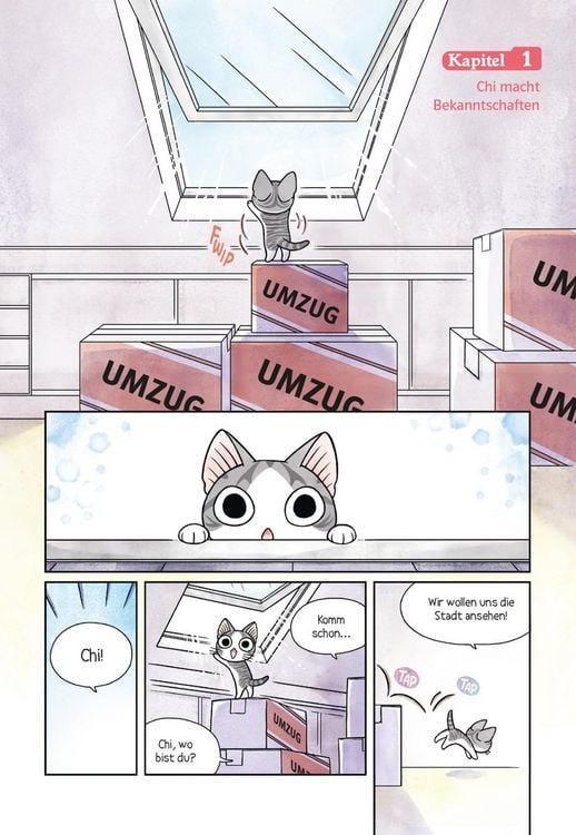 Produktbild: Kleine Katze Chi in Frankreich