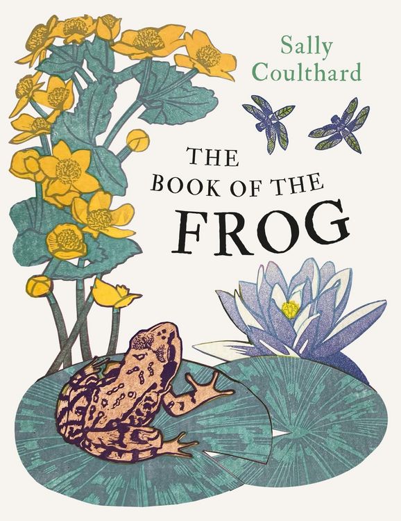 Produktbild: The Book of the Frog