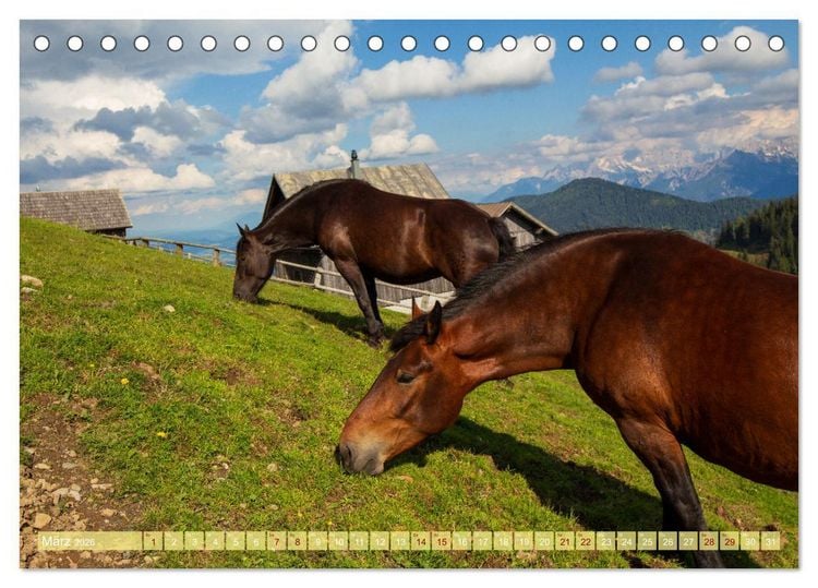 Produktbild: Die Feistritzer Alm - Wandern in den K&auml;rntner Bergen (Tischkalender 2026 DIN A5 quer), CALVENDO Monatskalender