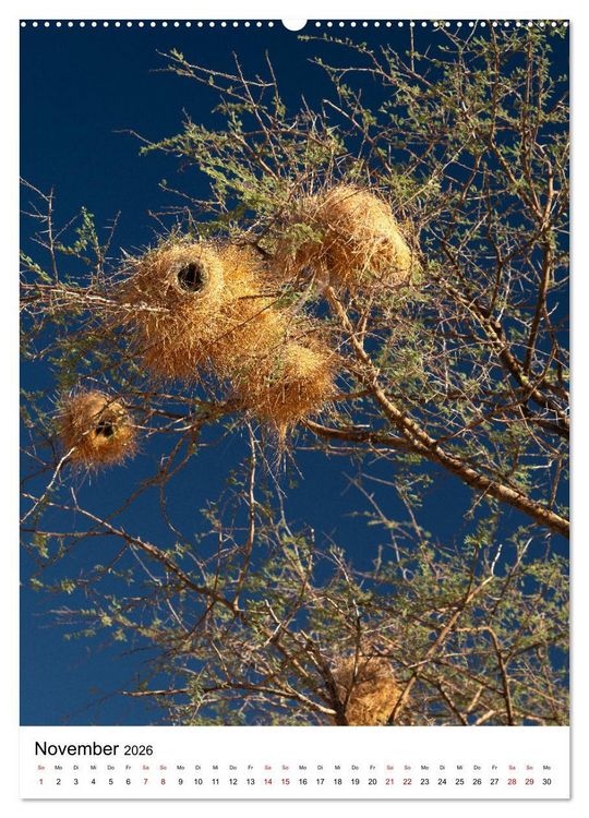 Produktbild: Naturparadies Namibia (hochwertiger Premium Wandkalender 2026 DIN A2 hoch), Kunstdruck in Hochglanz