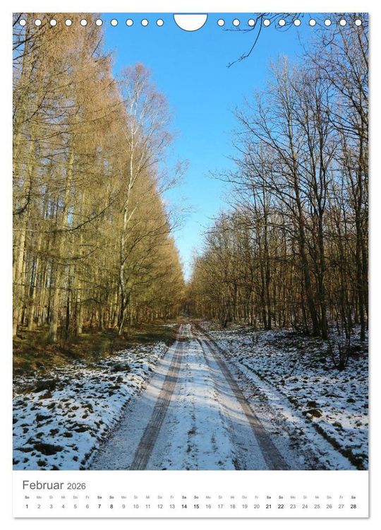 Produktbild: Wald - bezaubernde Landschaften (Wandkalender 2026 DIN A4 hoch), CALVENDO Monatskalender