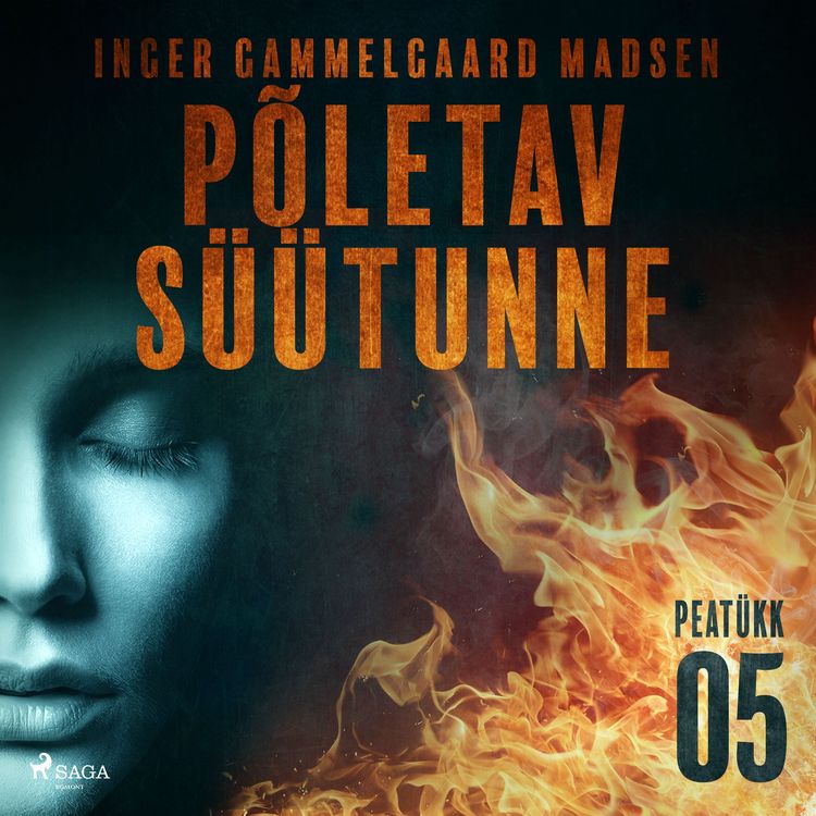 Produktbild: P&otilde;letav s&uuml;&uuml;tunne &ndash; 5. peat&uuml;kk