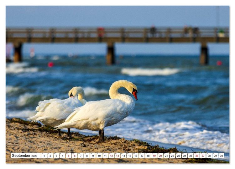 Produktbild: Travem&uuml;nde &ndash; Wo das Meer atmet (Wandkalender 2026 DIN A2 quer), CALVENDO Monatskalender