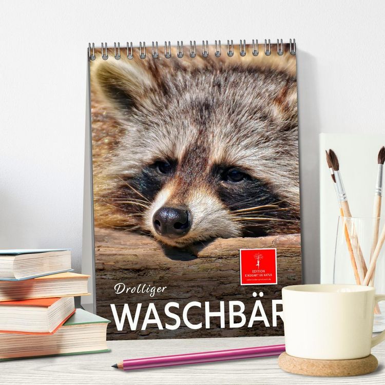 Produktbild: Drolliger Waschb&auml;r (Tischkalender 2026 DIN A5 hoch), CALVENDO Monatskalender