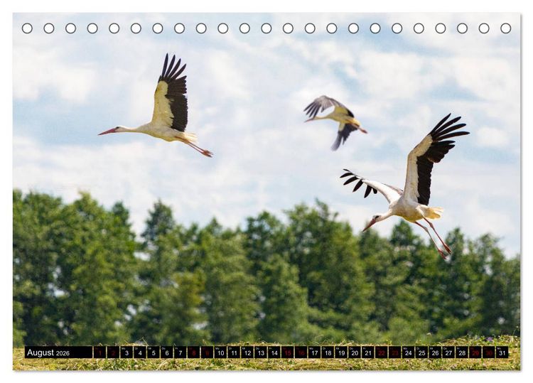Produktbild: ERMLAND MASUREN (Tischkalender 2026 DIN A5 quer), CALVENDO Monatskalender