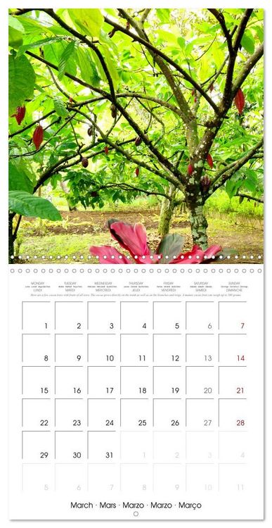 Produktbild: Travel around Java (Wall Calendar 2027 12 &times; 12 Inch) CALVENDO 12 Month Wall Calendar