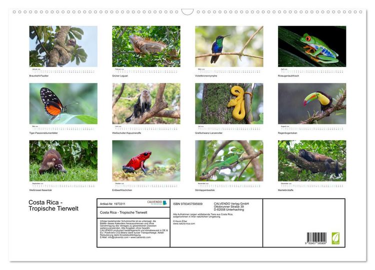 Produktbild: Costa Rica - Tropische Tierwelt (Wandkalender 2026 DIN A2 quer), CALVENDO Monatskalender
