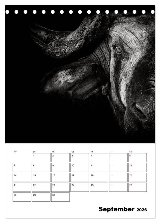 Produktbild: Charakterk&ouml;pfe aus der Welt der Tiere (Tischkalender 2026 DIN A5 hoch), CALVENDO Monatskalender