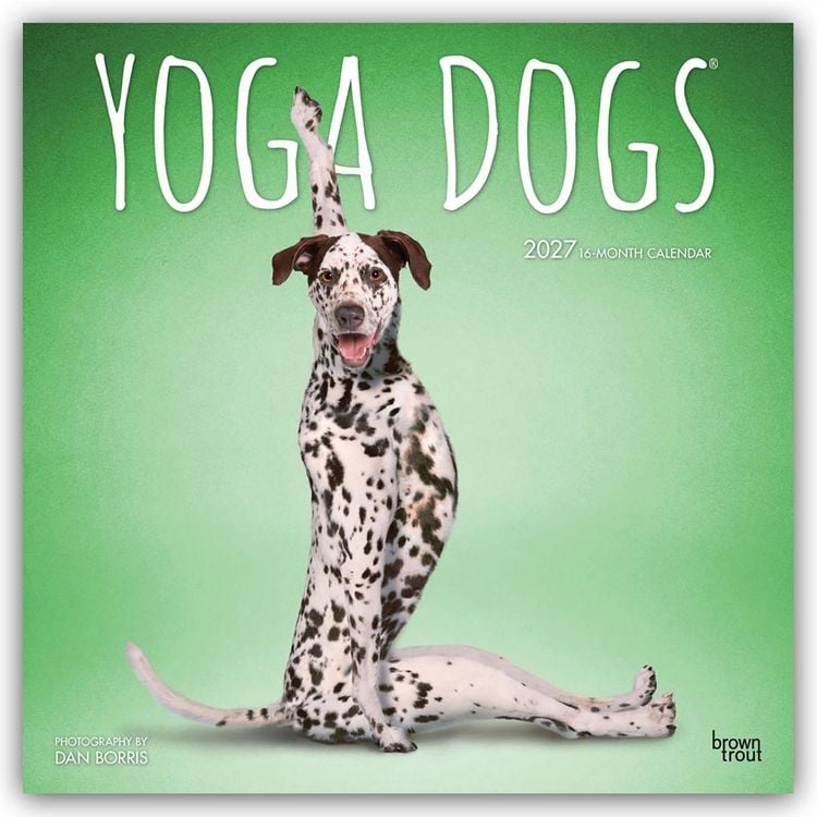 Produktbild: Yoga Dogs &ndash; Hunde Yoga 2027 &ndash; 16-Monatskalender