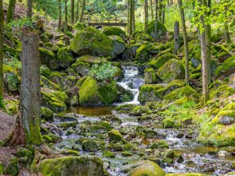 Produktbild: CALVENDO Puzzle Im Ilsetal nahe der unteren Ilsef&auml;lle | 1000 Teile Lege-Gr&ouml;&szlig;e 64x48cm Foto-Puzzle f&uuml;r gl&uuml;ckliche Stunden