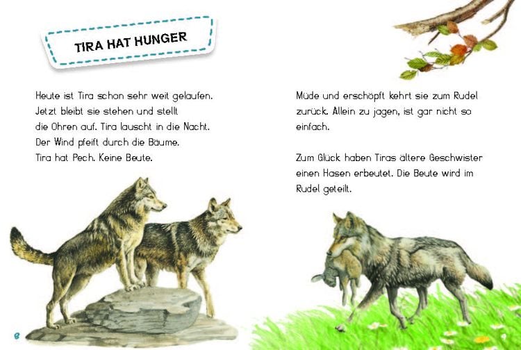 Produktbild: Tira, die junge Wölfin