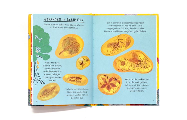 Produktbild: Hallo Fossilien & Muscheln