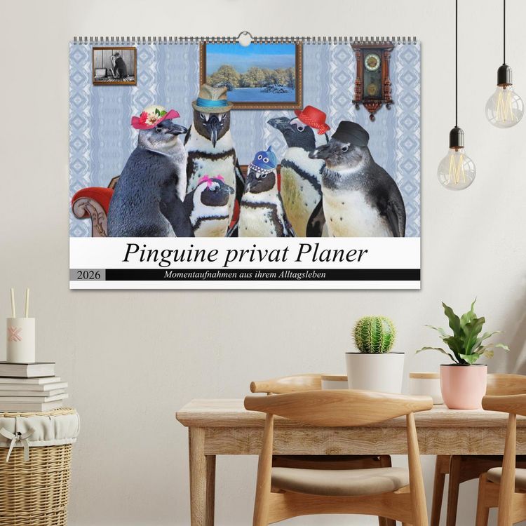 Produktbild: Pinguine privat Planer (Wandkalender 2026 DIN A2 quer), CALVENDO Monatskalender