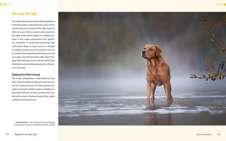 Produktbild: Dog Photography - Shooting with Bow "Wow" Effect