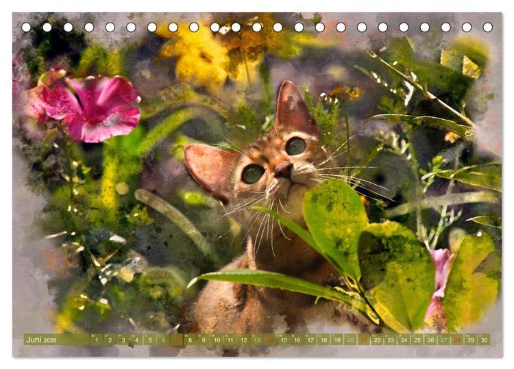 Produktbild: Katzenkalender mausgemalt (Tischkalender 2026 DIN A5 quer), CALVENDO Monatskalender