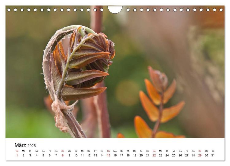 Produktbild: Paradies Naturgarten (Wandkalender 2026 DIN A4 quer), CALVENDO Monatskalender