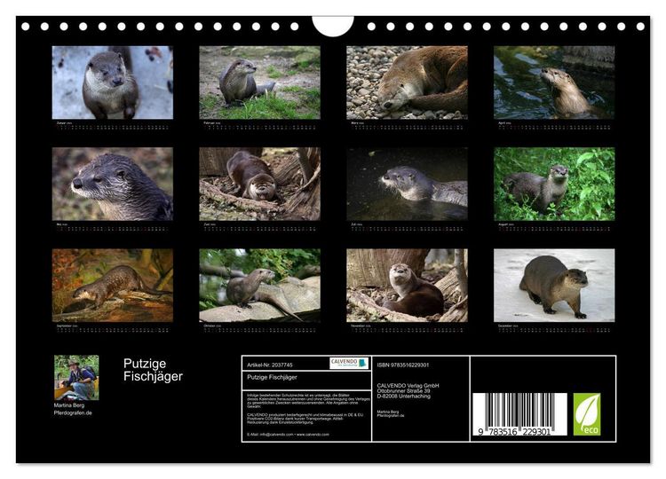 Produktbild: Putzige Fischj&auml;ger (Wandkalender 2026 DIN A4 quer), CALVENDO Monatskalender