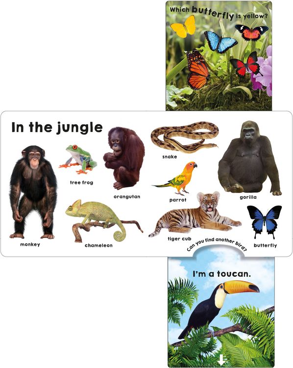 Produktbild: Animals (Slide & Surprise!)