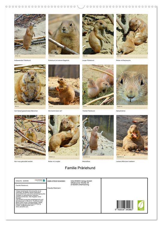 Produktbild: Familie Pr&auml;riehund (hochwertiger Premium Wandkalender 2026 DIN A2 hoch), Kunstdruck in Hochglanz
